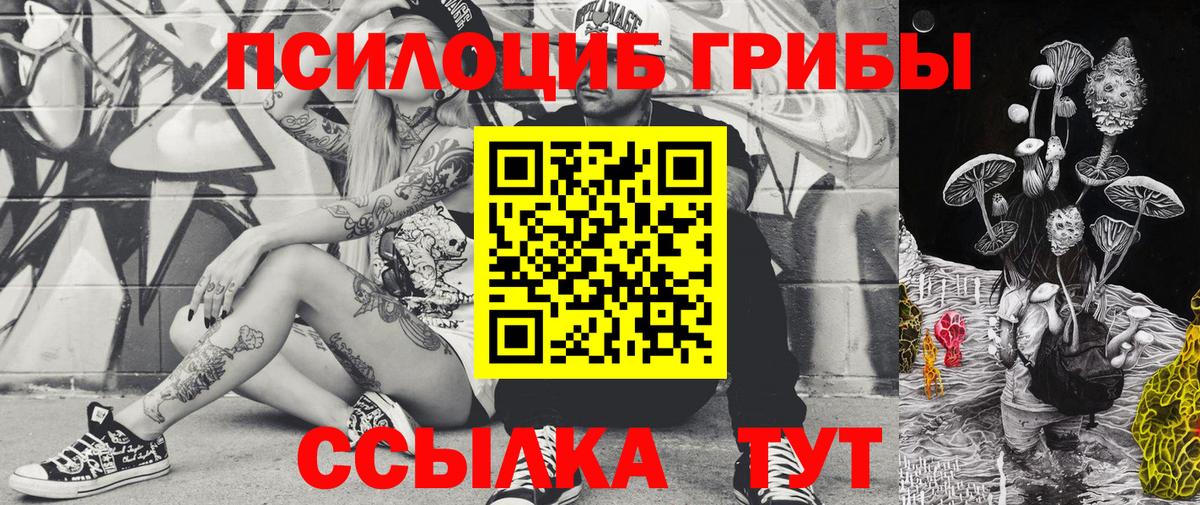 Псилоцибиновые грибы Psilocybe  Вход с VPN  Ковров  Псилоцибиновые грибы GOLDEN TEACHER 